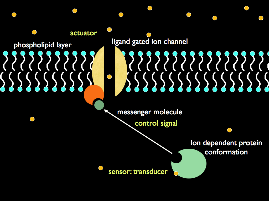 boundary layer components