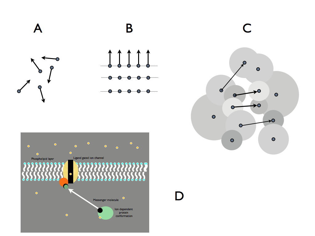 Information basis of cause