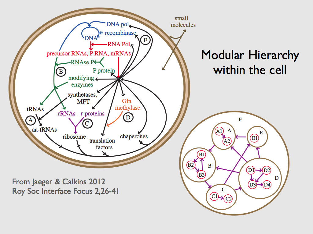 cellular operating system overview