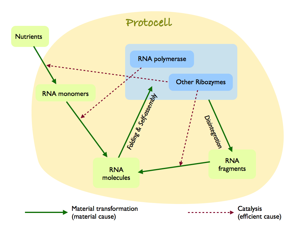 Kawamura Protocell